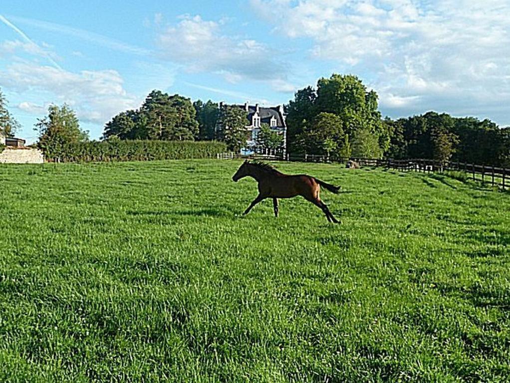 Chambres D'Hotes Du Haras De Coddes Cercy-la-Tour ภายนอก รูปภาพ