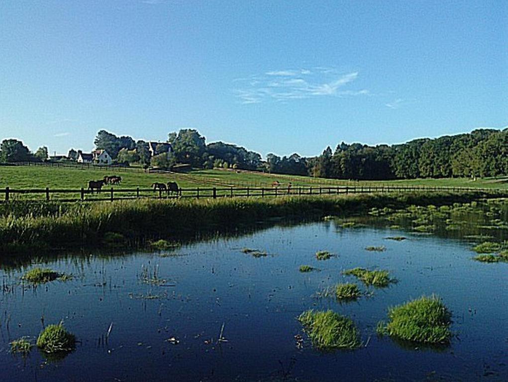 Chambres D'Hotes Du Haras De Coddes Cercy-la-Tour ภายนอก รูปภาพ